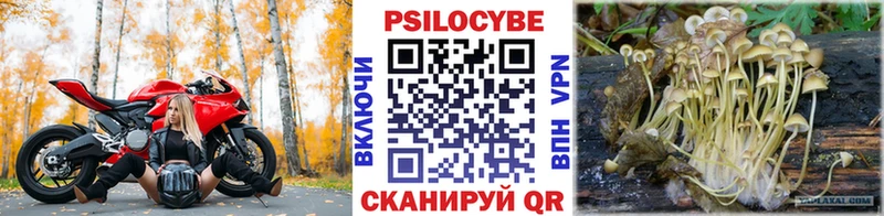 Псилоцибиновые грибы ЛСД  Купить где  Майкоп 