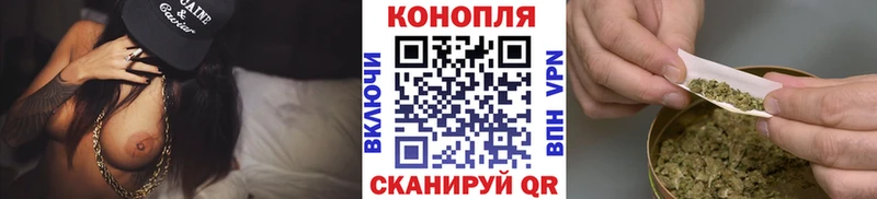 Шишки марихуана White Widow  Купить закладки  Майкоп 